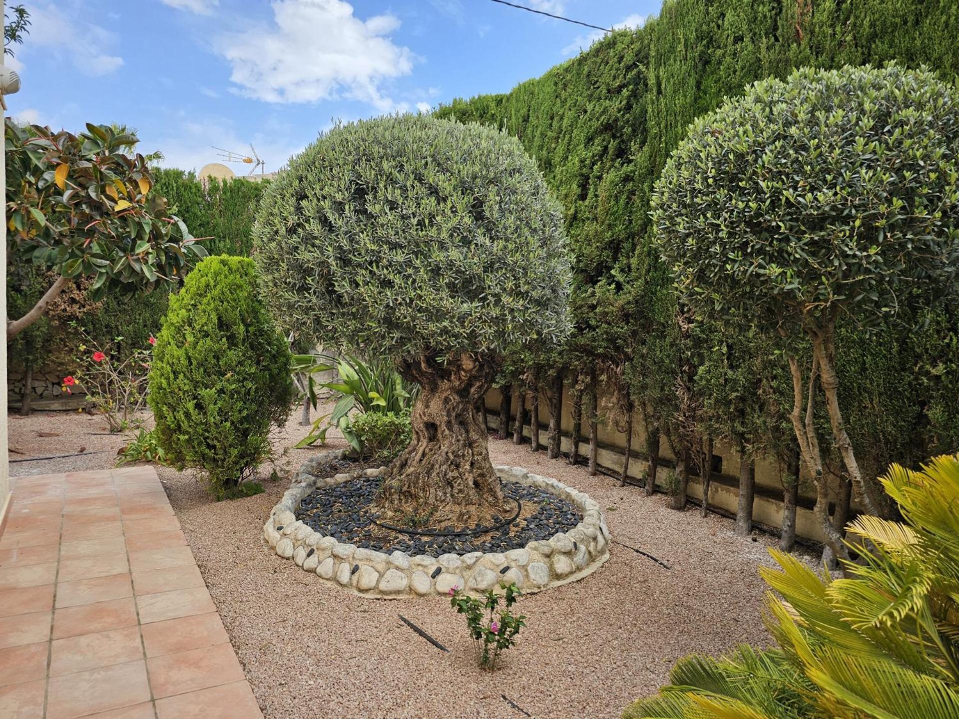 Luxury Villa - Pool, Hot Tub, Aircon, Tvs, Home Cinema, Office, Gbit Internet, Sports Equipment Calpe Eksteriør billede